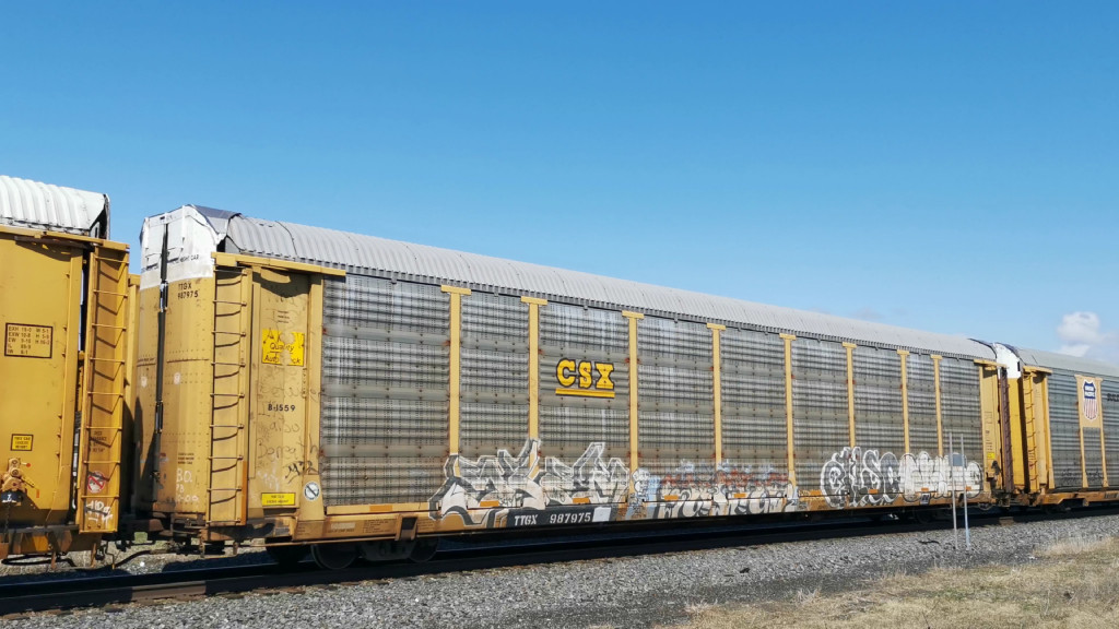 CSX B1559 (Body) TTGX 987975 (Flat)